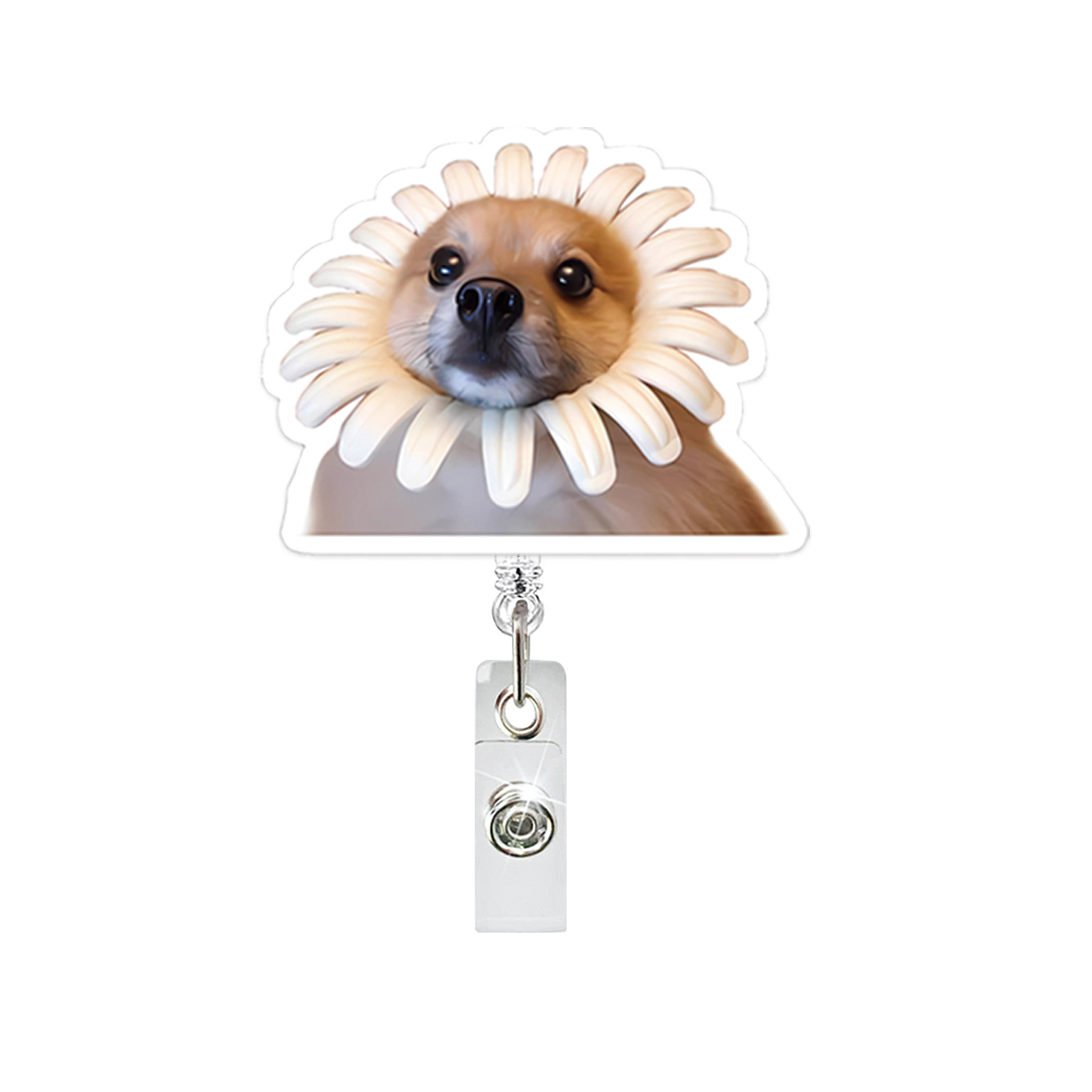 Lustiger Hund, Acryl-Abzeichen – Home Office Login Bewertung und Preis